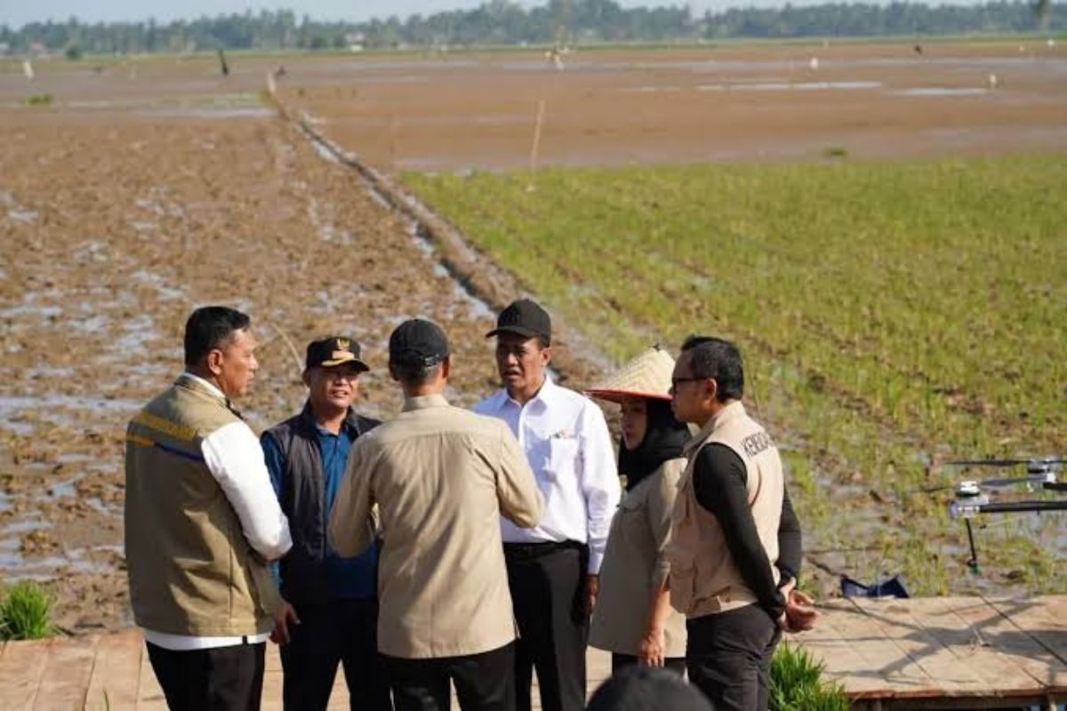 Amran Sulaiman Sebut Beras Rusak Tercatat 3.619 Ton, Setara 0,06 Persen Stok Nasional