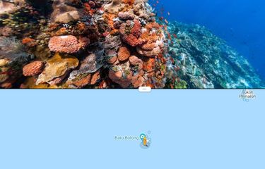 Tangkapan layar peta bawah laut untuk belajar Flora dan Fauna lewat Google 