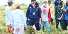 Panen 3 Kali Semusim, Karawang Ingin Dijadikan Mentan SYL Model Pertanian Modern