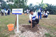 Jalankan "Community Forest", Pupuk Kaltim Tanam 634.583 Pohon