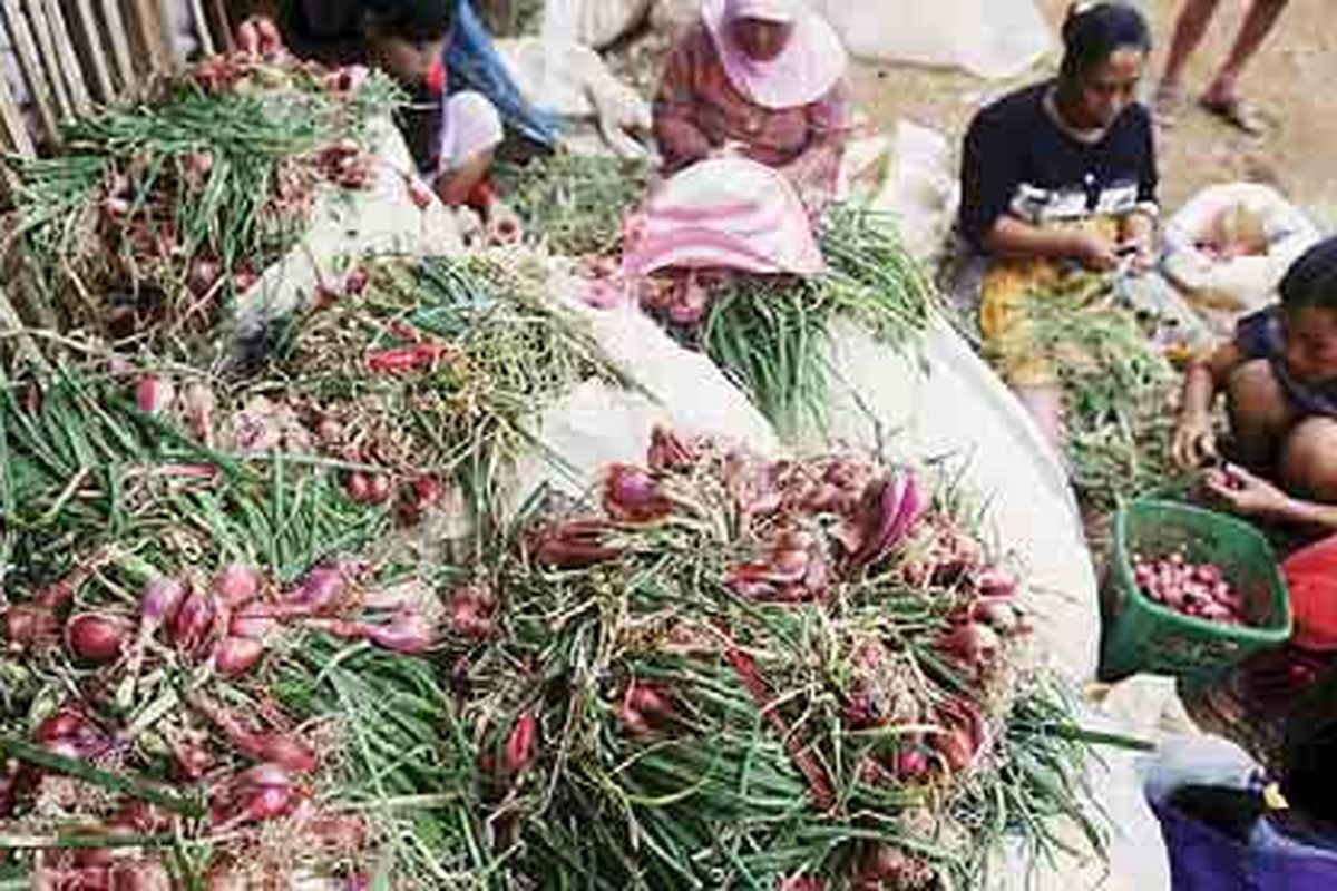Sejumlah petani bawang merah dengan dibantu anak-anak mereka memisahkan umbi bawang merah dari daunnya setelah dipanen di Kampung Cikawari, Mekar Manik, Kabupaten Bandung Barat, Jawa Barat, Senin (28/5). Bawang merah disetor ke bandar untuk dibawa ke Pasar Induk Caringin, Bandung. Harganya merosot dari Rp 10.000 per kilogram menjadi Rp 8.000 per kilogram seiring anomali dan serbuan bawang merah dari Thailand.