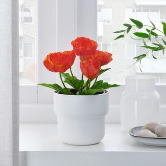 Menambah tanaman hias tiruan bernuansa merah bisa menjadi cara dekorasi rumah Imlek yang sederhana