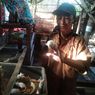 Cerita Faisal, 18 Tahun Beternak Tikus Mencit di Situbondo, Jual Ratusan Ekor Setiap Bulan