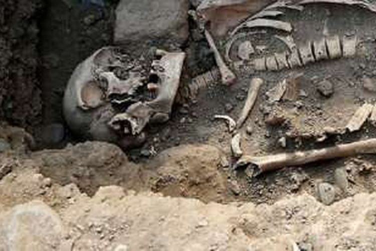 Kerangka manusia korban pembantaian 6.000 tahun lalu ditemukan di Perancis timur, Selasa (7/6/2016).