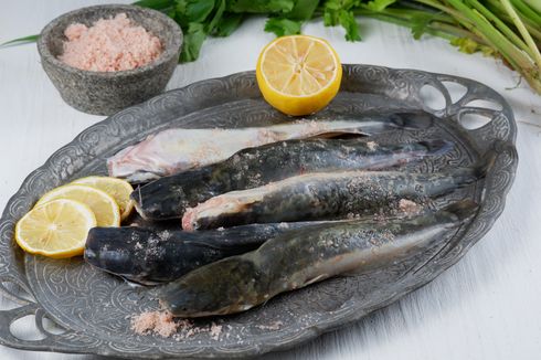 3 Manfaat Ikan Lele, Bisa Membantu Menurunkan Berat Badan