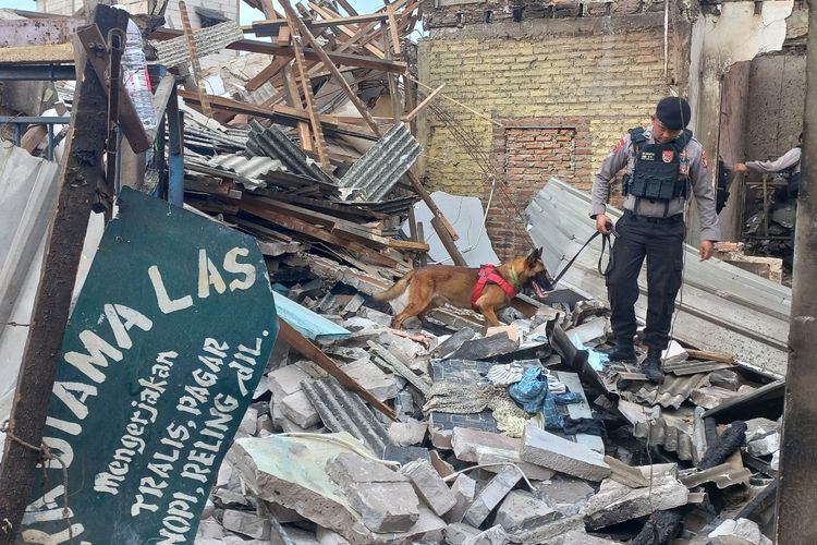 Detasemen Anjing Pelacak atau K-9 Direktorat Polisi Satwa (Ditpolsatwa) mengerahkan empat anjing pelacak untuk mencari korban yang diduga tertimbun di balik reruntuhan bangunan akibat kebakaran Depo Pertamina, Plumpang, Jakarta Utara.