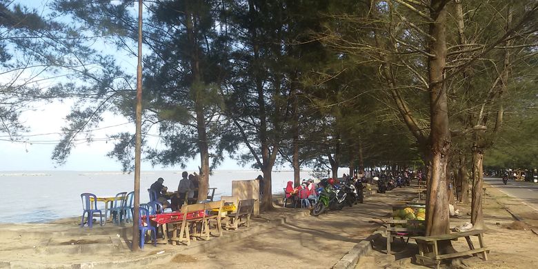 Pantai Pasir Padi di Pangkal Pinang dengan pepohonan cemara laut.