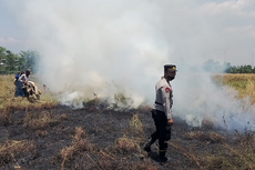 Cegah Insiden Tol Brebes, Polisi Padamkan Lahan Sawah yang Dibakar Petani di Area Tol Pemalang