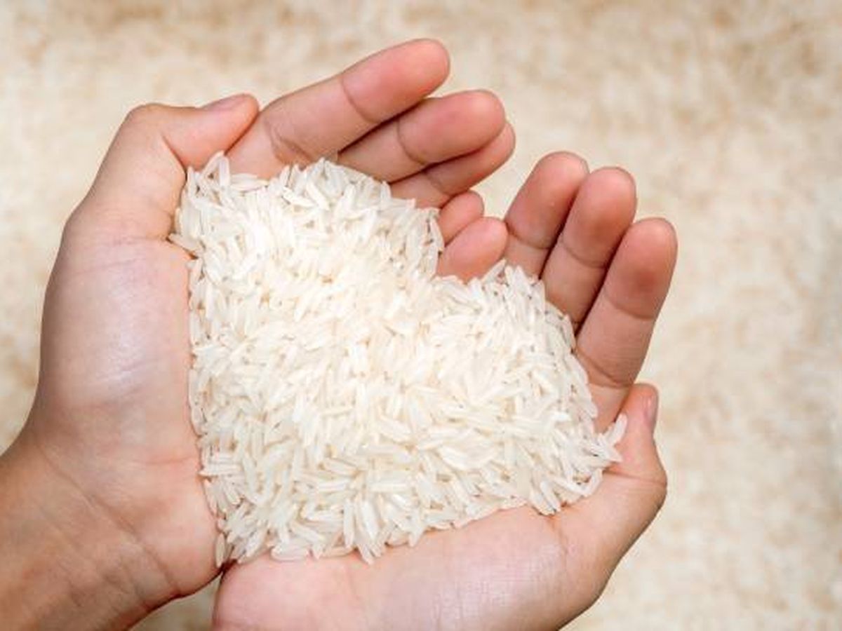 Kado HUT RI ke-81: Bansos Beras Serentak lewat Koperasi Merah Putih Sampai ke Tangan Rakyat Kado HUT RI ke-81: Bansos Beras Serentak lewat Koperasi Merah Putih Sampai ke Tangan Rakyat