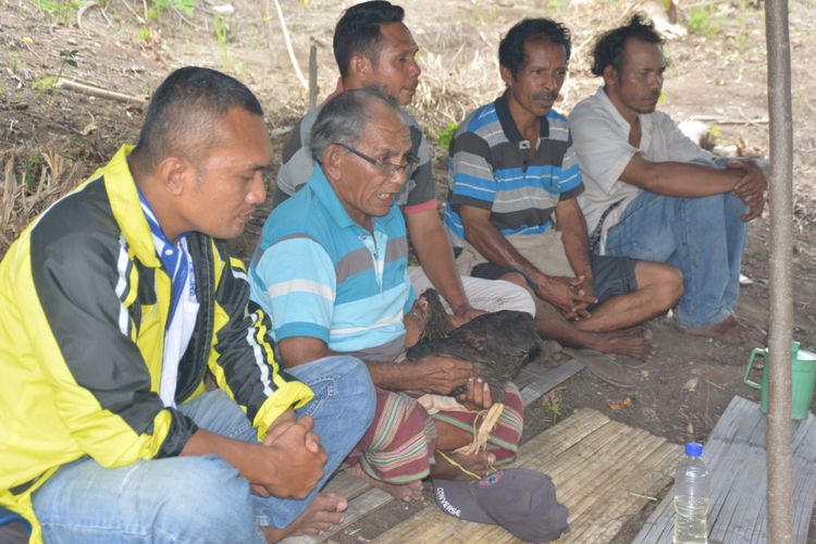 Ketua DOR Suku Gunung, Stanislaus Jalang, Sabtu (24/11/2018) sedang melaksanakan ritual adat Weri Mata Nii di lahan kering Mondo, Desa Gunung, Kec. Kota Komba, Kab. Manggarai Timur, Flores, NTT. (KOMPAS.com/Markus Makur)