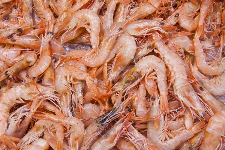 Cara Cepat Bersihkan Kotoran Udang Halaman All Kompas Com