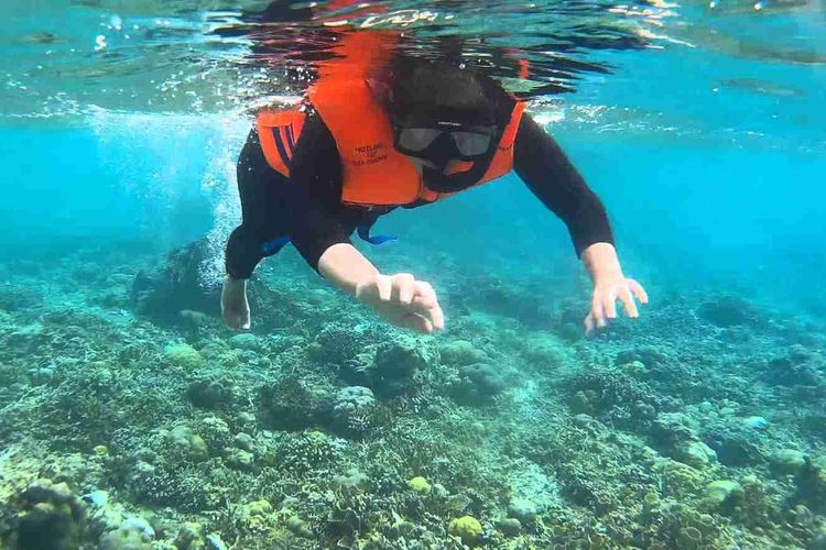 Snorkeling di Bangsring Underwater Banyuwangi