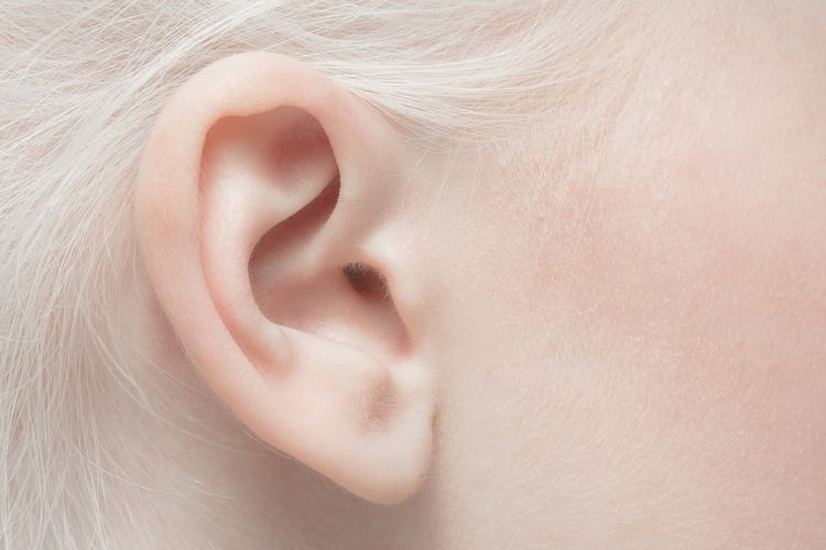 Telinga berperan penting dalam aktivitas manusia sehari-hari. Oleh karena itu, penting untuk menjaga dan merawat kesehatan telinga kita.