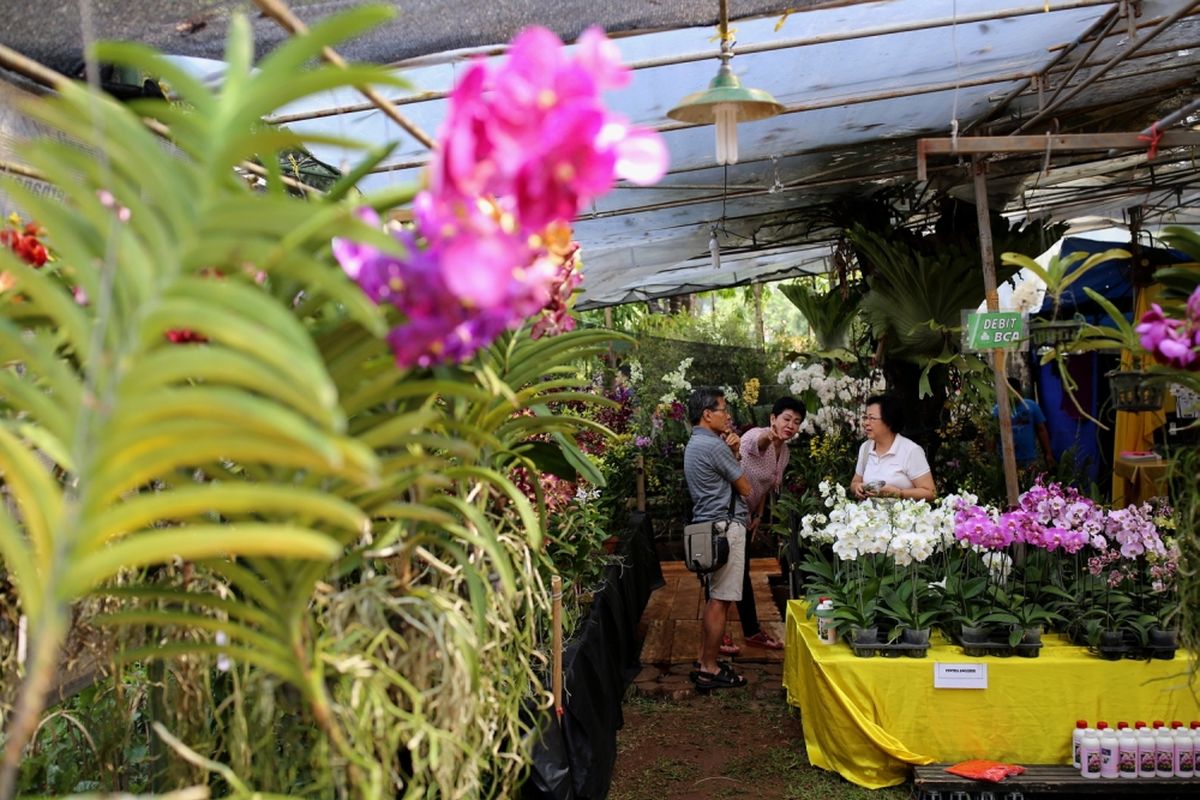 Pengunjung menikmati suasana yang ditampilkan dalam ajang Pameran Flora dan Fauna (Flona) 2017 dengan tema Jadikan Jakarta Sahabat Alam Kita di Lapangan Banteng, Jakarta Pusat, Sabtu (22/7/2017). Ajang yang terbuka dan gratis untuk umum ini berlangsung selama 1 bulan, serta bisa dimanfaatkan warga untuk semakin mencintai lingkungan. 