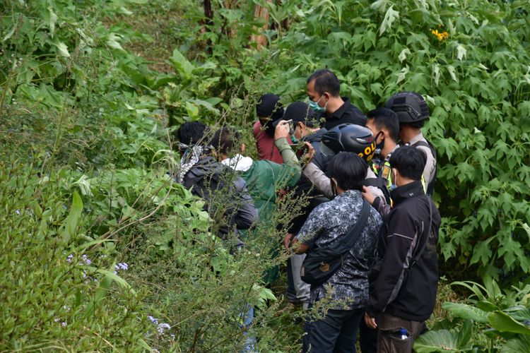 Pelaku YN tengah menunjukan pohon ganja yang ditanam secara sembunyi-sembunyi di lahan hutan seluas 1 hektar di Gunung Cibodas, Bukit Unggul, Perkebunan kina, Kampung Patrol Desa Sunten Jaya Lembang, Kabupaten Bandung Barat yang juga berbatasan dengan Daerah Cilengkrang, Kabupaten Bandung, Minggu (12/7/2020). Ladang ganja ini sudah berjalan satu tahun, setiap tiga bulan sekali pelaku memanen 20-40 kilogram ganja.