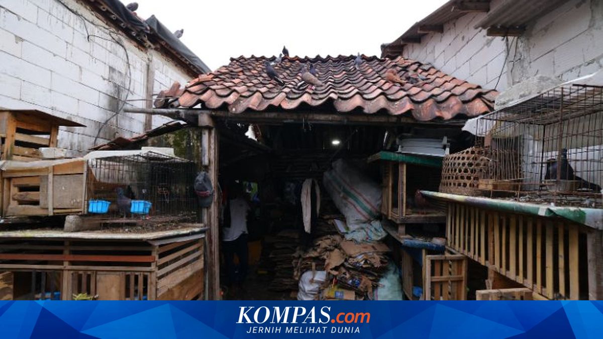 Hingga 1 Juli, Realisasi Belanja Kementerian PKP Baru Rp 2,6 Triliun
