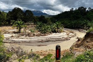 Penampakan Lahan Sawit di Humbang Hasundutan yang Hancur Diterjang Banjir Bandang dan Longsor