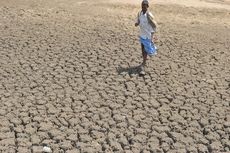 Miris, 60.000 Petani di India Bunuh Diri karena Perubahan Iklim