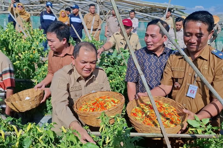 Jalan Sunyi Pemuda di Semarang Pilih Jadi Petani, Khawatir Pasokan Pangan Berkurang