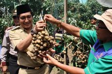 Digugat Bawahannya, Bupati Magelang Kalah