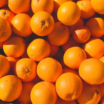 buah jeruk