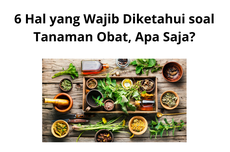 6 Hal yang Wajib Diketahui soal Tanaman Obat, Apa Saja?