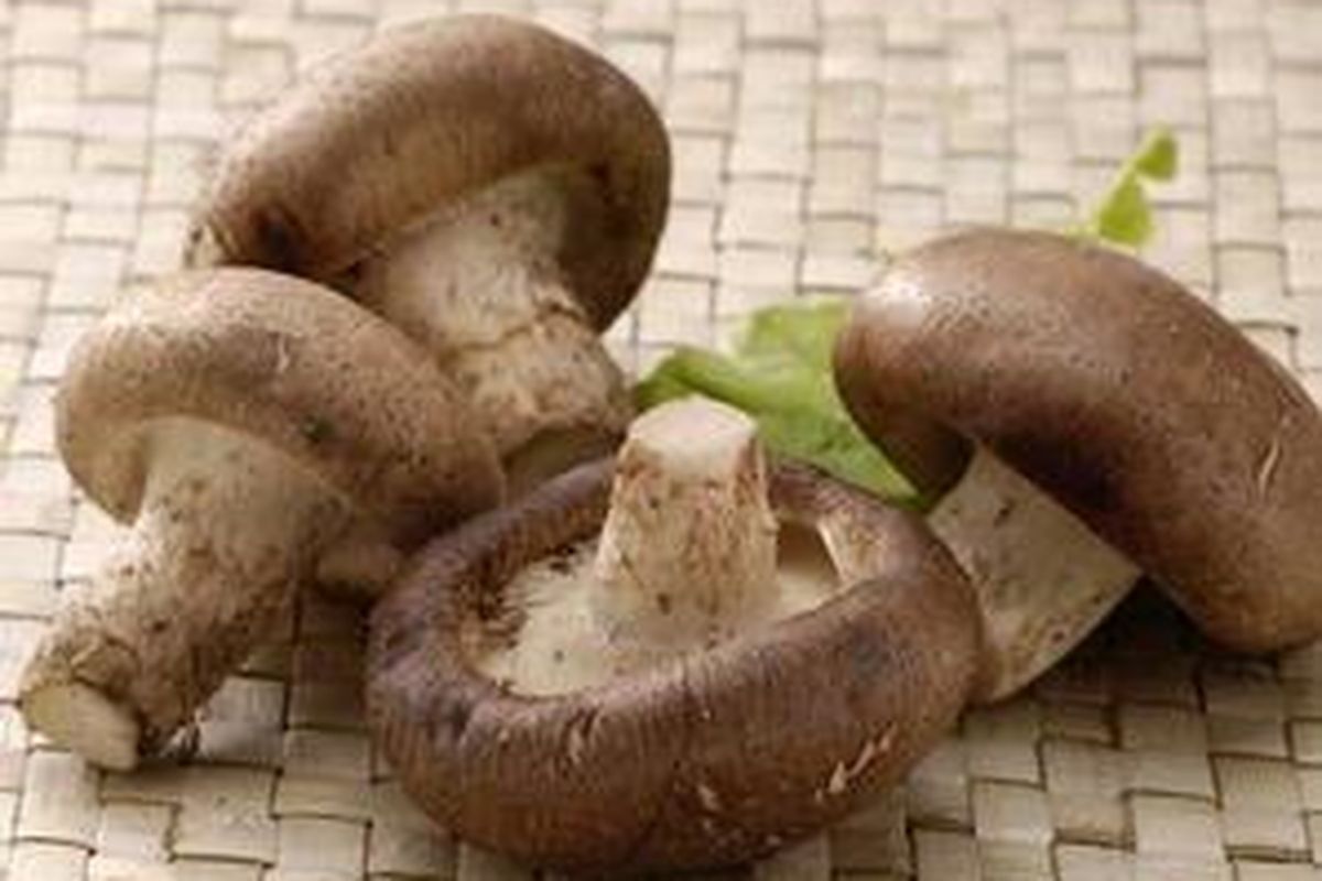 Jamur shiitake, sudah dibudidayakan sejak 1.000 tahun lalu.