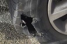 Bekasi Punya Kebun Kopi, Ada Robusta hingga Kopi Arabika Aceh