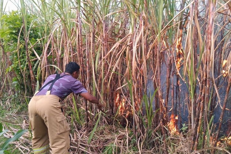 Marak Peristiwa Kebakaran di Kediri, Pemkab Imbau Warga Waspada