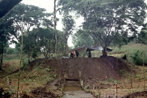 Ada Kota Kuno Berusia 2.500 Tahun di Hutan Amazon, Tersembunyi dalam Pepohonan Lebat