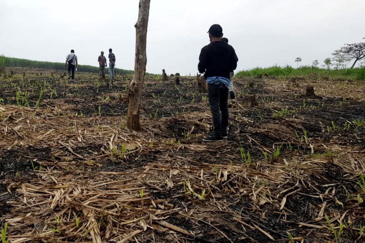 Bupati Bima Minta Gubernur NTB Ambil Langkah Tegas Soal Kondisi Hutan yang Makin  Kritis