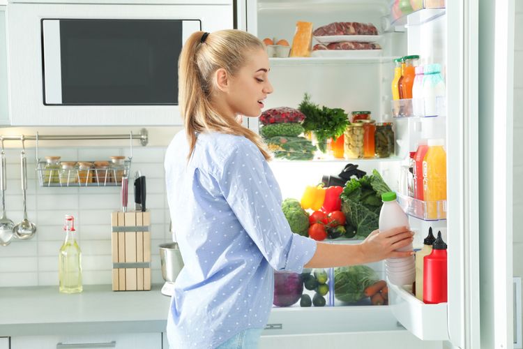Ilustrasi kulkas, lemari es, menyimpan makanan di kulkas. 