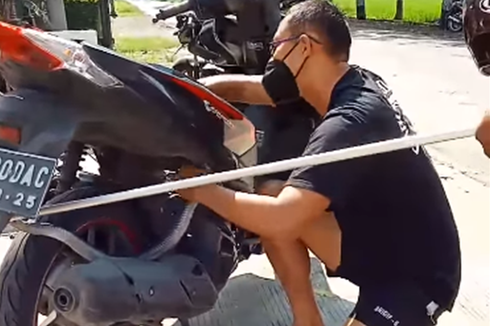 Video Viral Ular Kobra Panjang Lebih dari 1 Meter di Mesin Motor, Diketahui Saat Isi Bensin