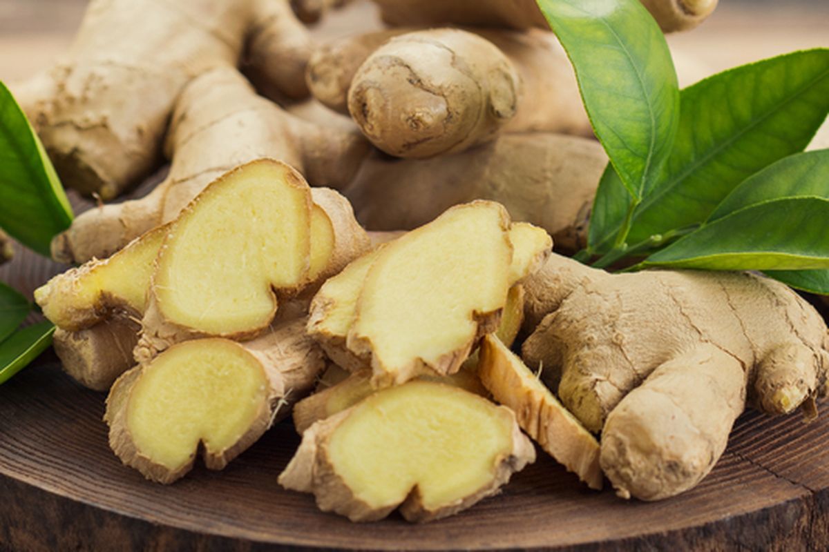 Ilustrasi jahe. Jahe adalah salah satu herbal yang berguna sebagai obat alami untuk tekanan darah tinggi. 
