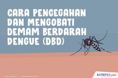 INFOGRAFIK: Cara Pencegahan dan Mengobati Demam Berdarah Dengue (DBD)