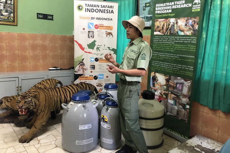 Bank sperma Harimau Sumatera di pusat konservasi satwa Taman Safari Bogor
