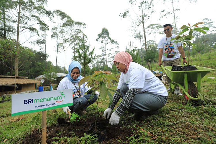 BRI Menanam, salah satu program berkelanjutan yang dijalankan oleh BRI. 

