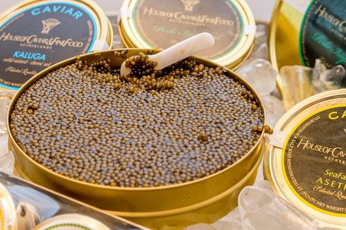 Mengenal Caviar Beluga, Telur Ikan Mahal yang Produksinya Butuh Puluhan Tahun
