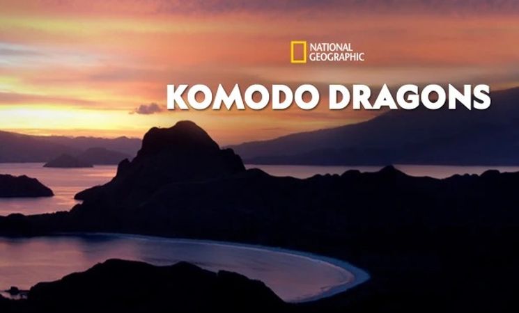 Sinopsis Komodo Dragons, Film Dokumenter National Geographic 