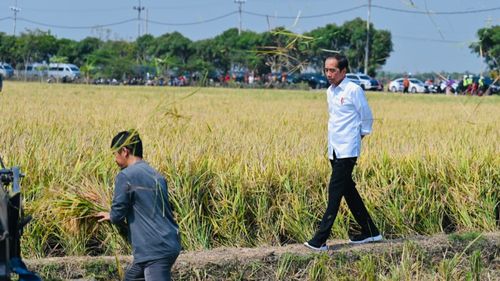 Pj Gubernur Jawa Barat Dilaporkan Relawan Anies ke Ombudsman, Jokowi: Pasti Ada Alasannya