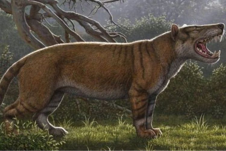 Spesies baru mamalia raksasa berhasil diidentifikasi setelah peneliti menyelidiki tulang-belulang yang disimpan selama beberapa dekade di laci museum Kenya.