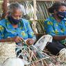 Perajin Anyaman di Desa Wisata Arborek Papua Barat Kehilangan Pembeli Akibat Pandemi