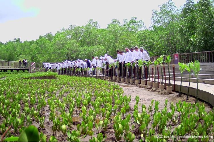 Presiden Joko Widodo bersama para pemimpin anggota G20 menanam pohon mangrove di Taman Hutan Raya (Tahura) Ngurah Rai, Bali, Rabu (16/11/2022) pagi di sela-sela rangkaian Konferensi Tingkat Tinggi (KTT) G20.