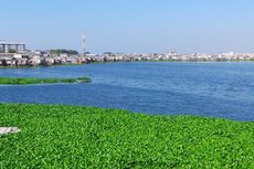 17 Agustus, Ada Subsidi Jajanan di Waduk Pluit