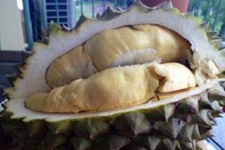 Karena baunya, beberapa negara Asia melarang membawa durian ke hotel dan angkutan umum.