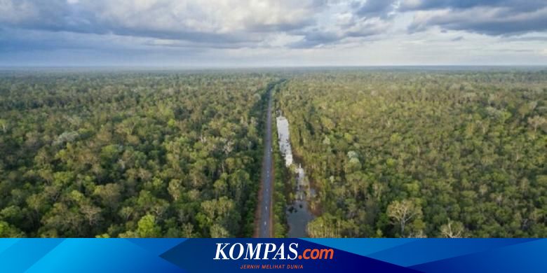 Membumikan Harapan Lewat Trans-Papua Sisi Selatan