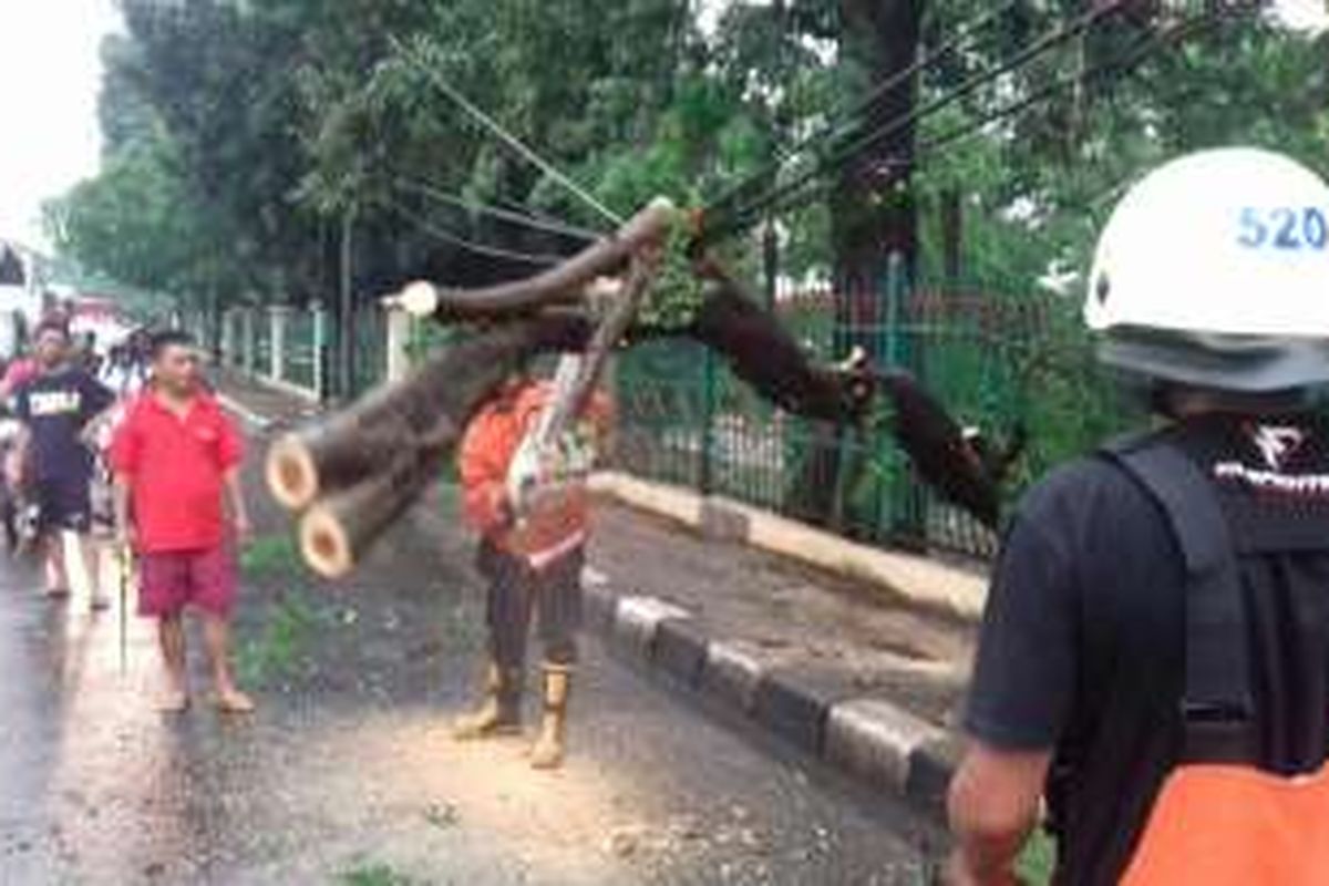 Hujan disertai angin yang terjadi menyebabkan sebuah pohon tumbang di Jalan Raya Bogor, tepatnya sebelum depan GOR Ciracas, Jakarta Timur, Selasa (30/8/2016). 