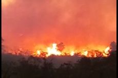 Gunung Ciremai Kembali Terbakar Kedua Kalinya di Bulan September