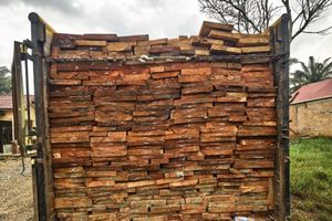 2 Pengangkut Kayu Hasil Illegal Logging Ditangkap Polisi di Riau