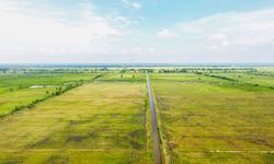 Derasnya Arus Investasi di Lampung Ancam Pertanian, Mentan: Kami Akan Lindungi Lahan Sawah